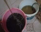 أهالى قرية شبرا أوسيم بالبحيرة يشكون تغير لون وخواص مياه الشرب