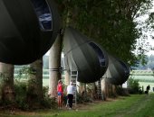 خيام على شكل دموع تتدلى من الأشجار لاستضافة السياح ببلجيكا