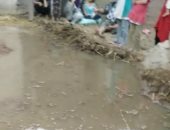 فيديو وصور.. استغاثات أهالى "خلوة الشرفا" بالشرقية: مياه الصرف تغرق القرية