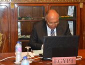 وزير الخارجية يؤكد دعم مصر الكامل لمسار التعاون بين أفريقيا وروسيا