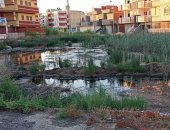 سكان مدينة 15 مايو بجمصة يشكون انتشار مياه مجهولة المصدر بالمنطقة