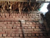 قارئ من المنوفية يطلب إنشاء سقف لمنزله ليحميه من مطر الشتاء وحر الصيف