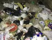 سيبها علينا.. شكوى من انتشار القمامة بعزبة الشال فى المنصورة