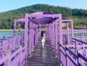 جزيرة " البنفسج" تتحول لأحدث مناطق الجذب السياحى فى كوريا الجنوبية .. اعرف القصة