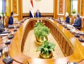 السيسي يوجه باستكمال مشروع الاكتفاء الذاتى من مشتقات البلازما