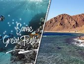 ‏دهب تعود لتألقها السياحى من جديد.. الفنادق ومراكز الغوص تحصل على شهادة السلامة الصحية.. نسب الإشغال ترتفع لـ45%.. "تنشيط السياحة" تكثف الترويج للمدينة بمواقع التواصل.. وCNN توصى بزيارة المدينة وتصفها بـ"الجنة"