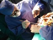 فريق طبى بجامعة أسيوط ينجح فى إنقاذ حياة سيدة وجنينها بعملية قلب مفتوح 