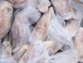 ضبط سمكة الأرنب السامة ولحوم منتهية الصلاحية فى حملة موسعة برأس البر 