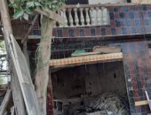 محافظة القاهرة تزيل جزء من سوق التونسى القديم.. صور 