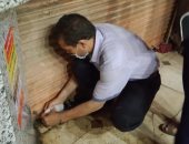 تشميع 2 كافيه لمخالفة مواعيد الغلق المقررة ببنى سويف.. صور