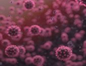 إحصائيات الصحة: مصر بالمركز الـ103 عالميا فى الإصابة بكورونا بـ83 ألفا و930 حالة بـ811 إصابة فى المليون.. وتحتل الـ47 بالوفيات والـ191 فى نسبة التعافى.. وتراجع الإصابة لالتزام المواطنين بالإجراءات الاحترازية