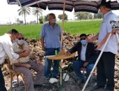 زراعة الشرقية: أساتذة بمركز بحوث الأرز بسخا ينفذون "مدرسة حقلية" لتوفير المياه