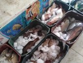 إعدام 284 كيلو أغذية وعصائر لتغيرها فى الخواص الطبيعية بالبحر الأحمر ..صور 