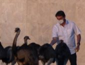 رئيس البرازيل من الحجر الصحى: أتناول "كلوروكين" وأشعر بالملل