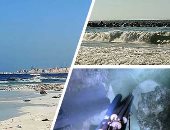 صور.. هل "حواجز الموت" سبب حصد الأرواح بشاطئ النخيل فى الإسكندرية؟.. المحافظ: لم تنجح فى تأدية الغرض منها وتزيد التيارات المائية.. وفريق الغوص: نواجه صعوبة فى العثور على جثامين الغرقى