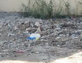 قارئ يشكو تجميع القمامة خلف منزله من قبل عمال النظافة