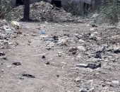اضبط مخالفة.. انتشار القمامة بقرى مركز زفتى فى الغربية.. صور