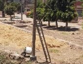 استبدال عمود كهرباء متهالك بآخر جديد بجوار كوبرى منشية يوسف منصور بالشرقية