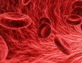دراسة على مليون شخص تكشف: السيطرة على مستويات الحديد فى الدم تمنع الشيخوخة