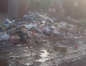 شكوى من انتشار القمامة والأوبئة بمنيل شيحة مركز أبو النمرس فى محافظة الجيزة