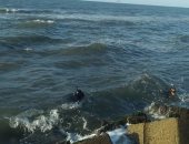 محافظ كفر الشيخ يتابع أعمال البحث عن "نور" غريق بلطيم