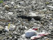 مطالب بتطهير مصرف "المريج كفر الشوبك" شبين القناطر بعد امتلائه بالقمامة