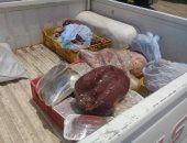 بيطرى أسوان يضبط لحوم منتهية الصلاحية.. صور     