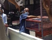 ضبط 246 كيلو أغذية منتهية الصلاحية ومجهولة المصدر فى أسوان