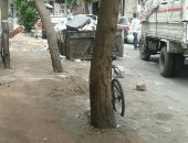 استجابة لـ"سيبها علينا".. الرصد البيئى ترفع القمامة من مساكن شارع شيديا بالاسكندرية