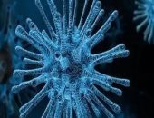 4 قضايا أثارت جدلا واسعا تتعلق بانتشار فيروس كورونا وحسمها العلماء