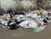 اضبط مخالفة.. انتشار القمامة بمدينة طنطا وسط غياب الأجهزة التنفيذية (صور) 
