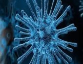 دراسة تكشف: 6 سلالات للفيروس التاجى بدأت من ديسمبر وحتى نهاية فبراير 