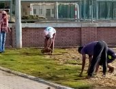 أسوان يتوسع فى مساحة الرقعة الخضراء داخل النادى.. صور