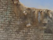 صور.. إزالة 405 حالات تعد على الأراضى الزراعية وأملاك الدولة ببنى سويف "صور"