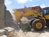 صور.. إزالة التعديات على أراضى الدولة ببرج العرب 