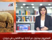 موجز ترندات تلفزيون اليوم السابع..نتيجة الثانوية وفاروق جعفر وإجازة العيد يتصدرون