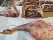 ضبط طن لحوم مذبوحة خارج المجازر الحكومية ومنتهية الصلاحية فى البحيرة