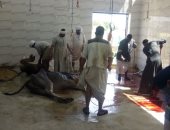 الأقصر تجهز 5 مجازر حكومية لاستقبال أضاحى العيد وذبحها بالمجان