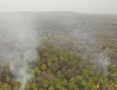2020 عام حارق ومدمر للأمازون بـ222 ألف حريق وإزالة 11 كيلو من الغابات