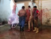 رئيس حى العامرية يتفقد المجزر الآلى ويشدد على النظافة استعدادا لعيد الأضحى.. صور