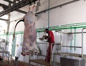 محافظ جنوب سيناء: ذبح الأضاحى مجانا بالمجازر الحكومية وعقوبات صارمة للمخالفين