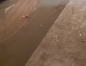 شكوى من سوء الصرف الصحى فى حارة العزازى بحدائق المعادى