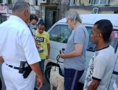 صور.. ضبط 13 مخالفة للسير بالكلاب على كورنيش الإسكندرية