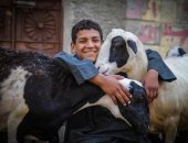 صورة اليوم.. أبو كف رقيق وصغير 