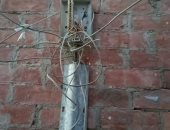 أهالى الحرانية بالجيزة يطالبون بإصلاح بوكس تليفونات لتحسين الخدمة