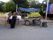 أهالى إسكان الشباب في 6 أكتوبر يشكون انتشار الباعة الجائلين