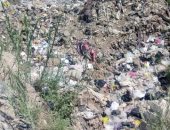 قارئ يشكو انتشار القمامة أمام ترعة المنصورية وإعاقة حركة مياه الزراعة