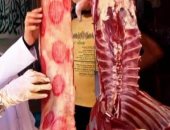 ضبط ربع طن لحوم منتهية الصلاحية وتحرير 55 محضرا لمحلات جزارة بالشرقية