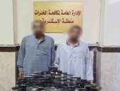 ضبط 115 طربة حشيش بالإسكندرية بقيمة مليون جنيه