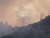 شاهد.. حريق هائل في غابات منطقة أزمير التركية